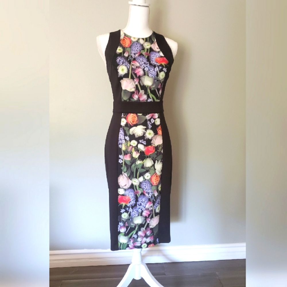 ted baker gilith dress